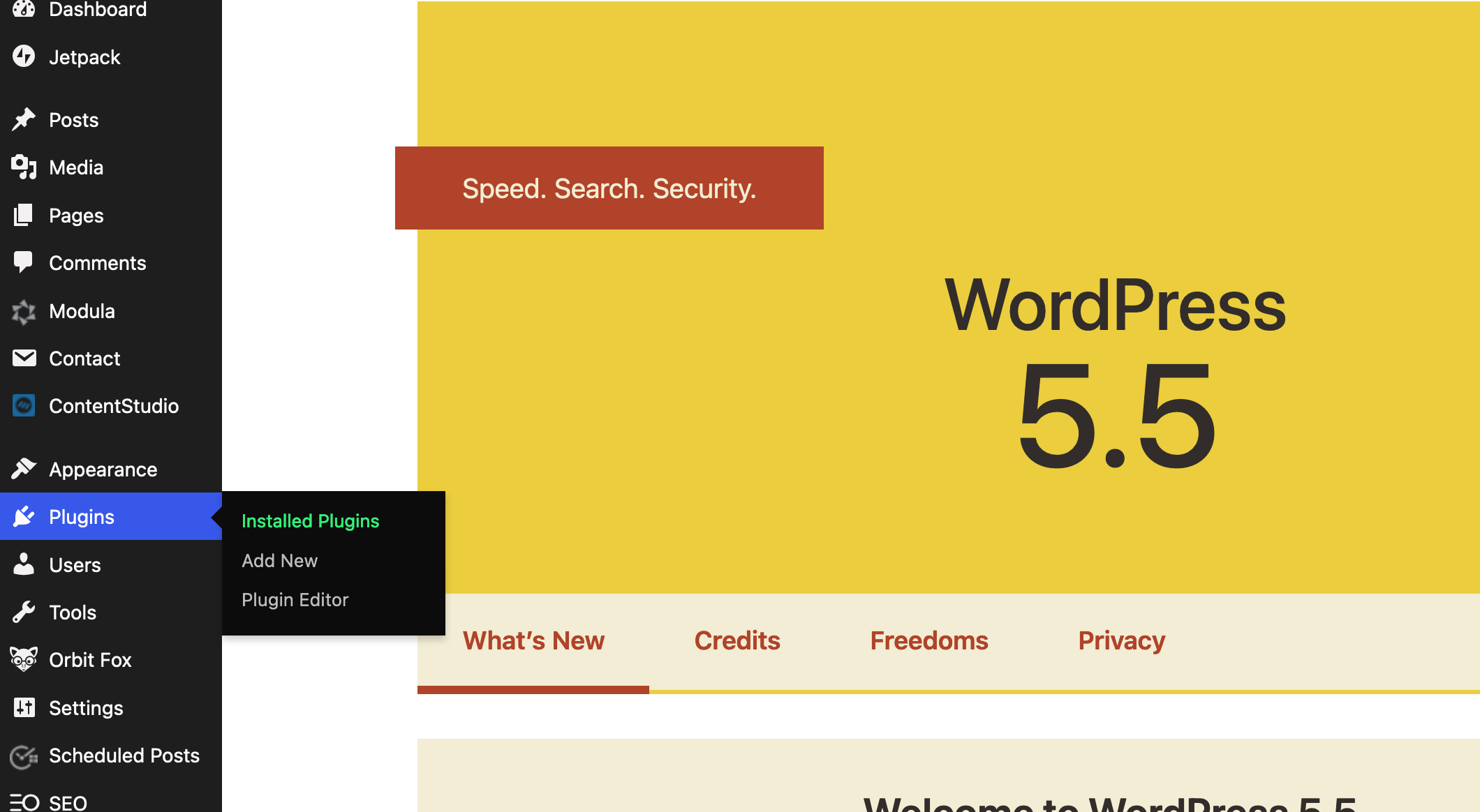 WordPress 5.5 dashboard.