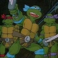tmntwitw
