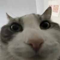 no_idea